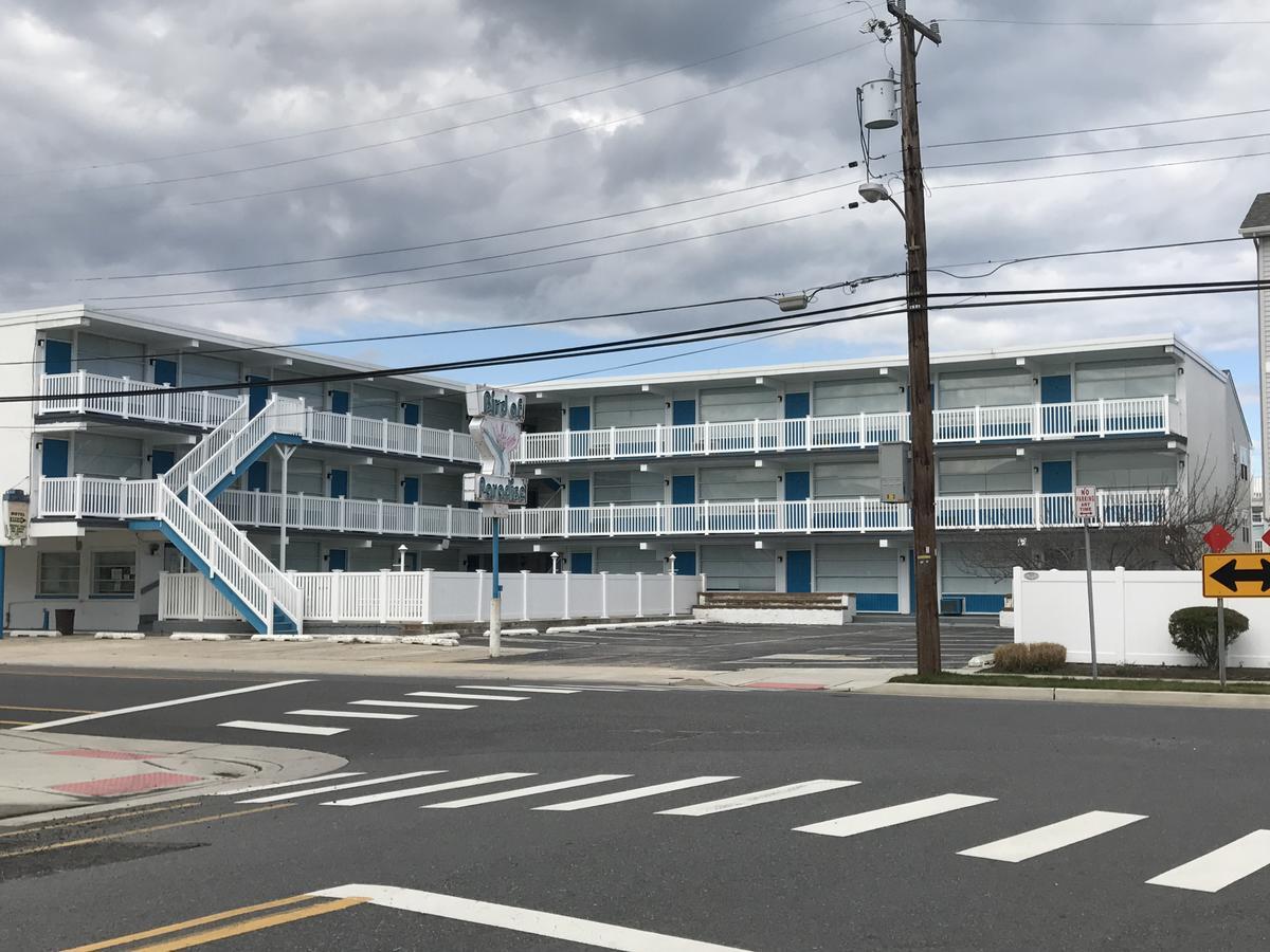 Bird Of Paradise Motel North Wildwood Bagian luar foto